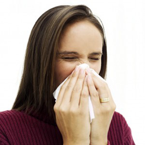 Remedios naturales para alergias