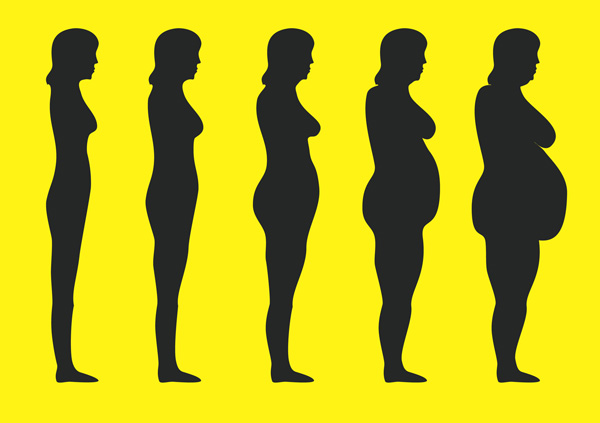 La grasa abdominal es un factor de riesgo en la mujer