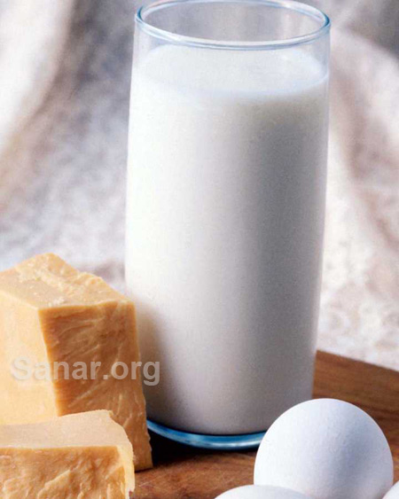 La leche: ¿Alimento esencial?