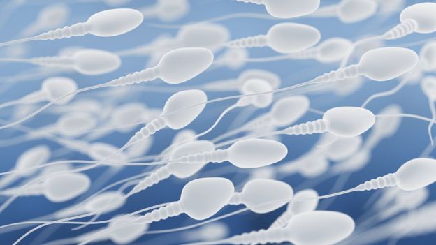 Lo que se tiene que hacer para aumentar el conteo de esperma 