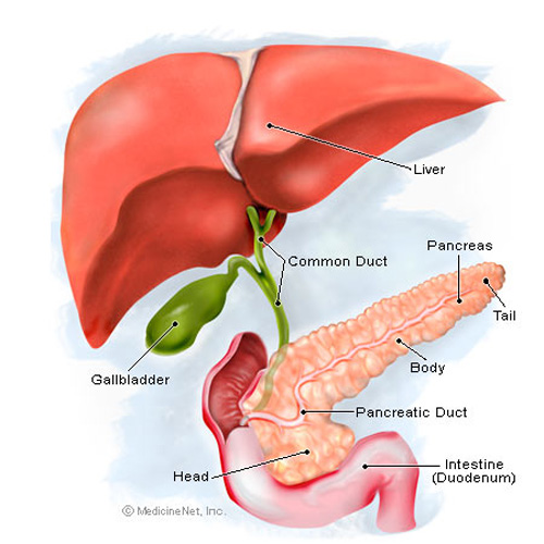 Pancreatitis aguda