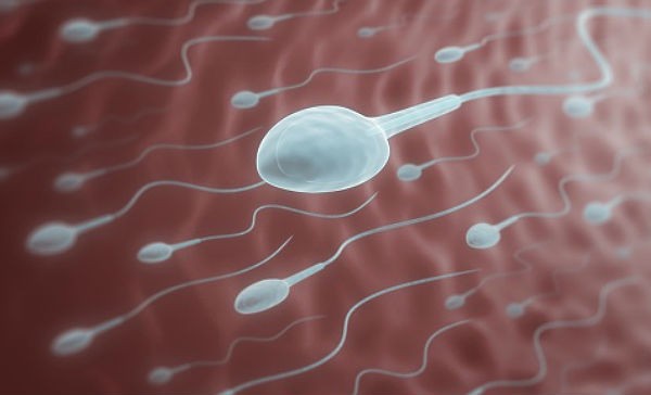 Qué significa el color de la esperma