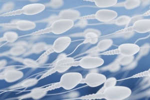 Lo que se tiene que hacer para aumentar el conteo de esperma 