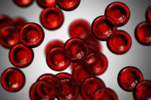 Por qué tenemos diferentes tipos de sangre 