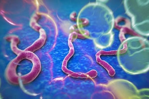 Virus hermanos del Ébola