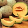 Brote de listeria por melones contaminados en Estados Unidos
