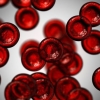 Por qué tenemos diferentes tipos de sangre 