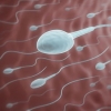 Qué significa el color de la esperma